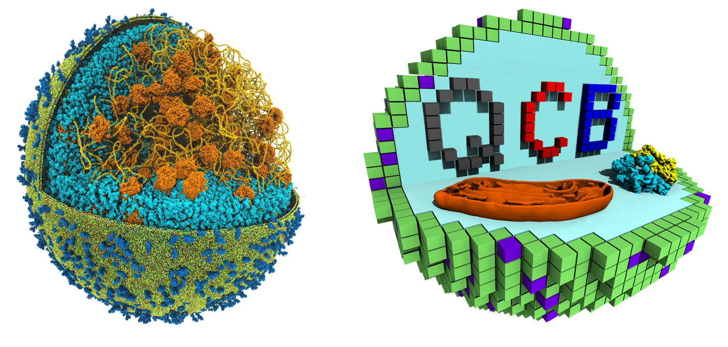 Model and minecraft model of minimal cells